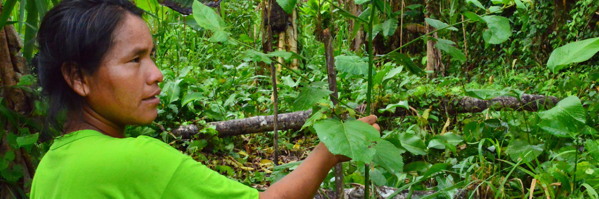 Aider_Peru_SABERES-Primer plano comunera del machete - copie