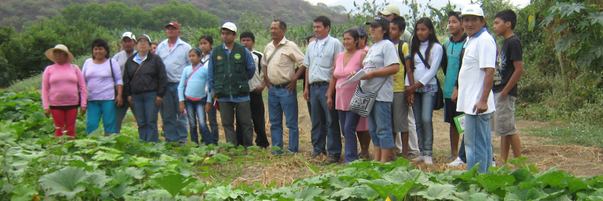 Aider_Peru_agroecological_ practices - copie