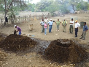 Aider_Peru_agroecological_ practices2