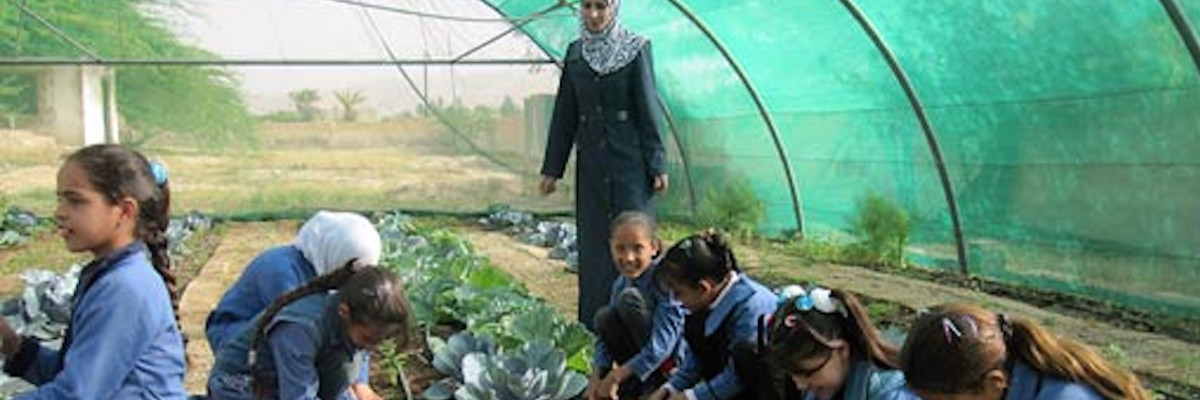 Permaculture_Jordan - copie