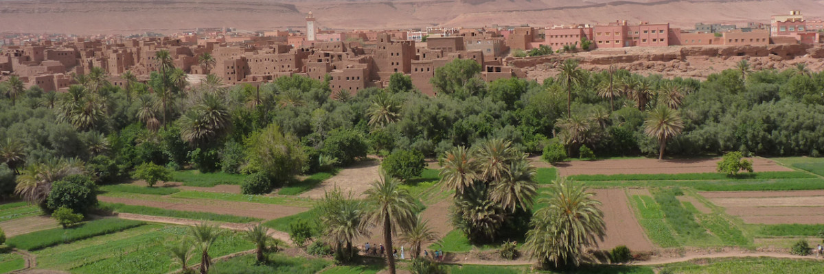 Raddo_Oasis_Maroc_vallee_dades - copie