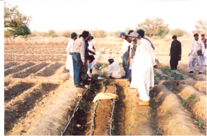 Scope_Pakistan_demonstration of water conservation at farm