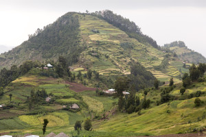 Wofwasha Kebele, North Shewa, Ethiopia, October 2013: Juniper forest has been removed on steep slopes near the village to create farmlands and is showing signs of heavy erosion. Photograph by Mike Goldwater